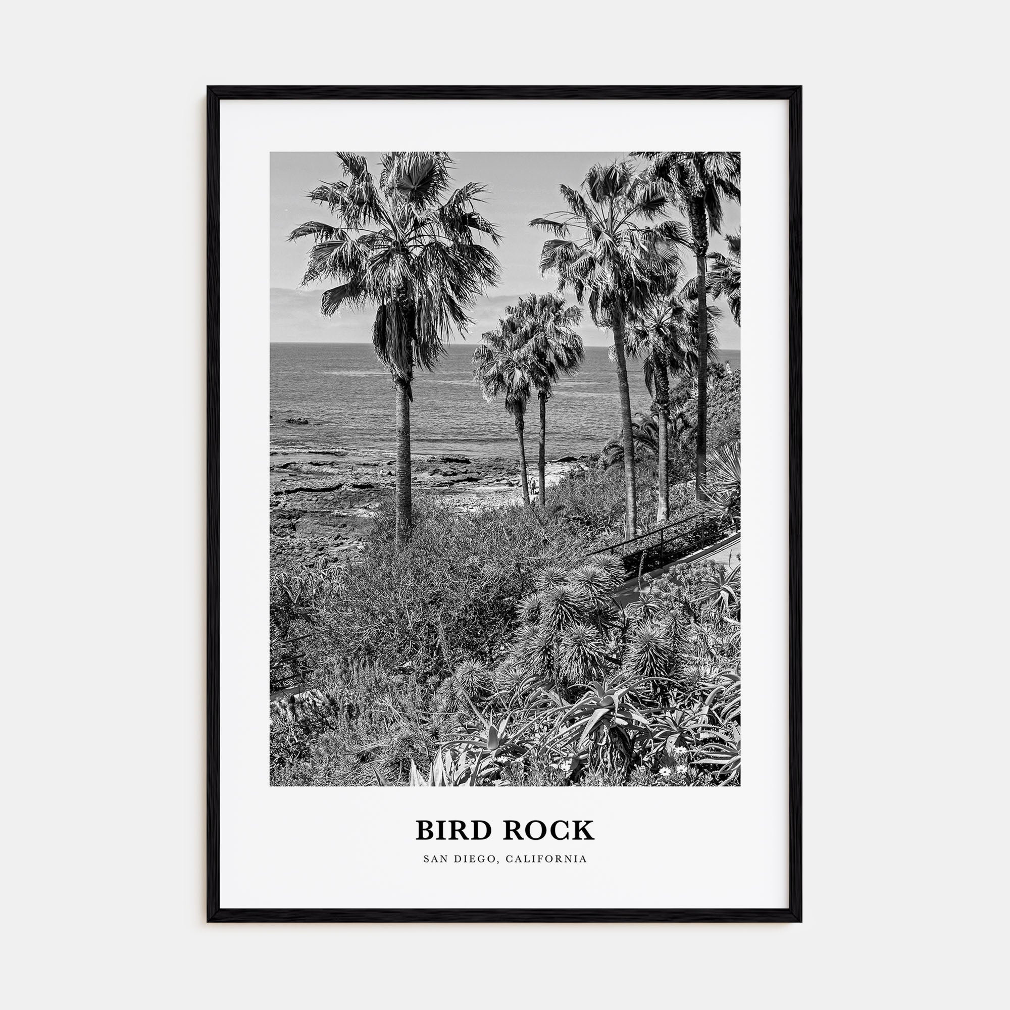 Bird Rock Portrait B&W No 1 Poster