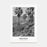 Bird Rock Portrait B&W No 1 Poster