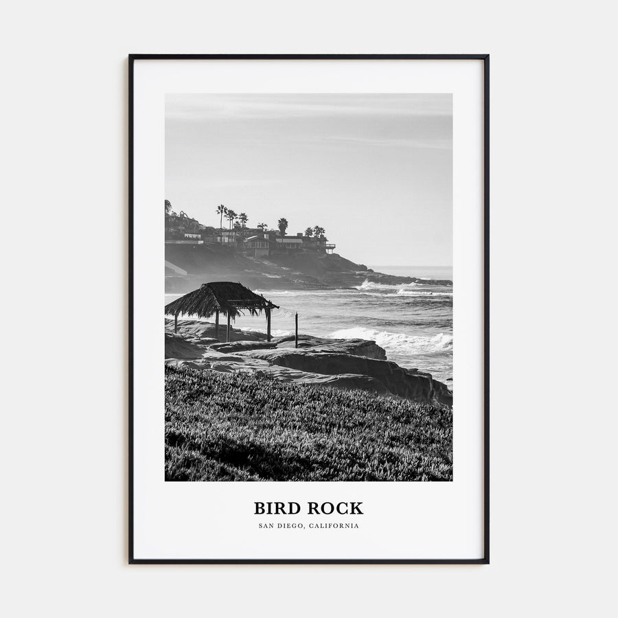 Bird Rock Portrait B&W No 2 Poster