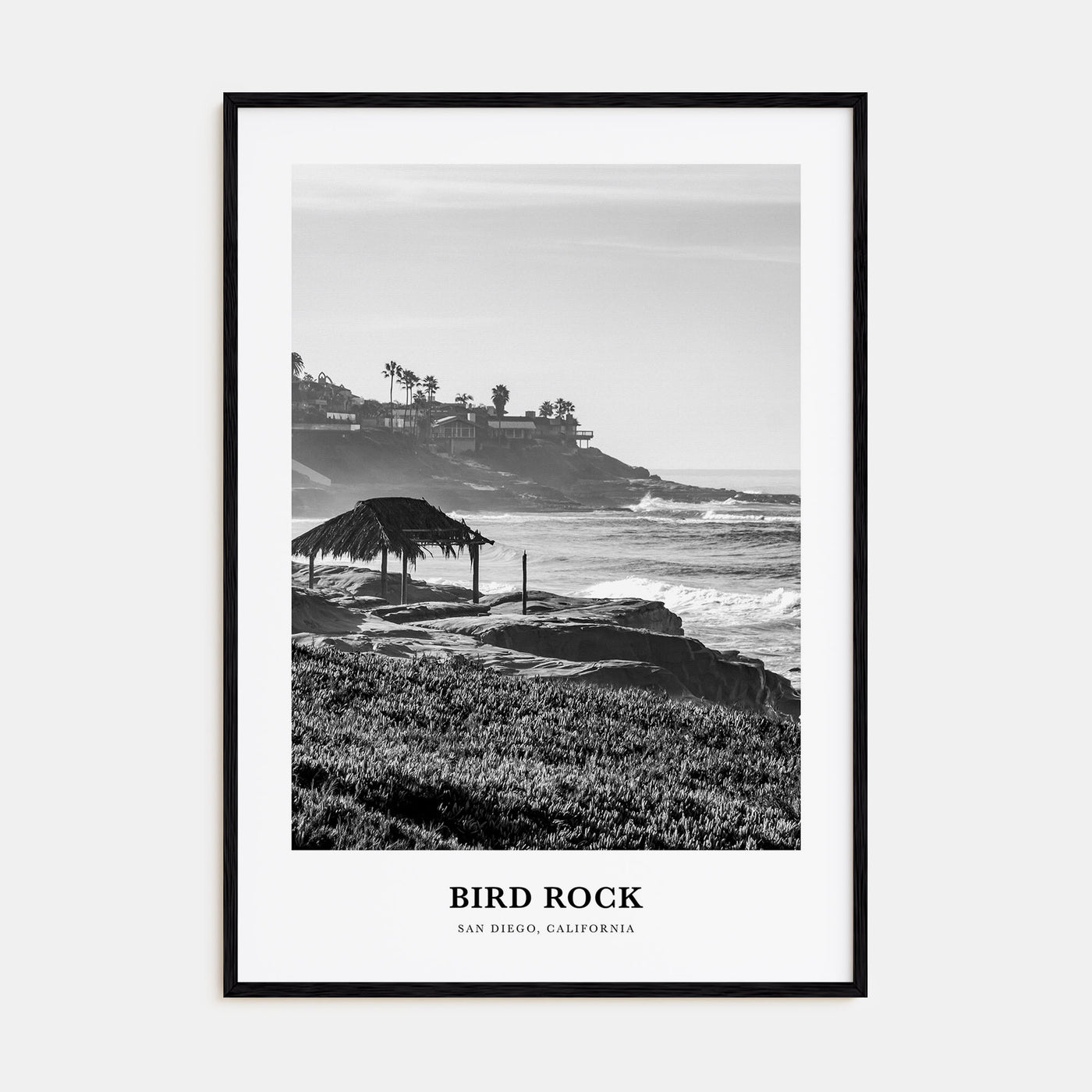 Bird Rock Portrait B&W No 2 Poster
