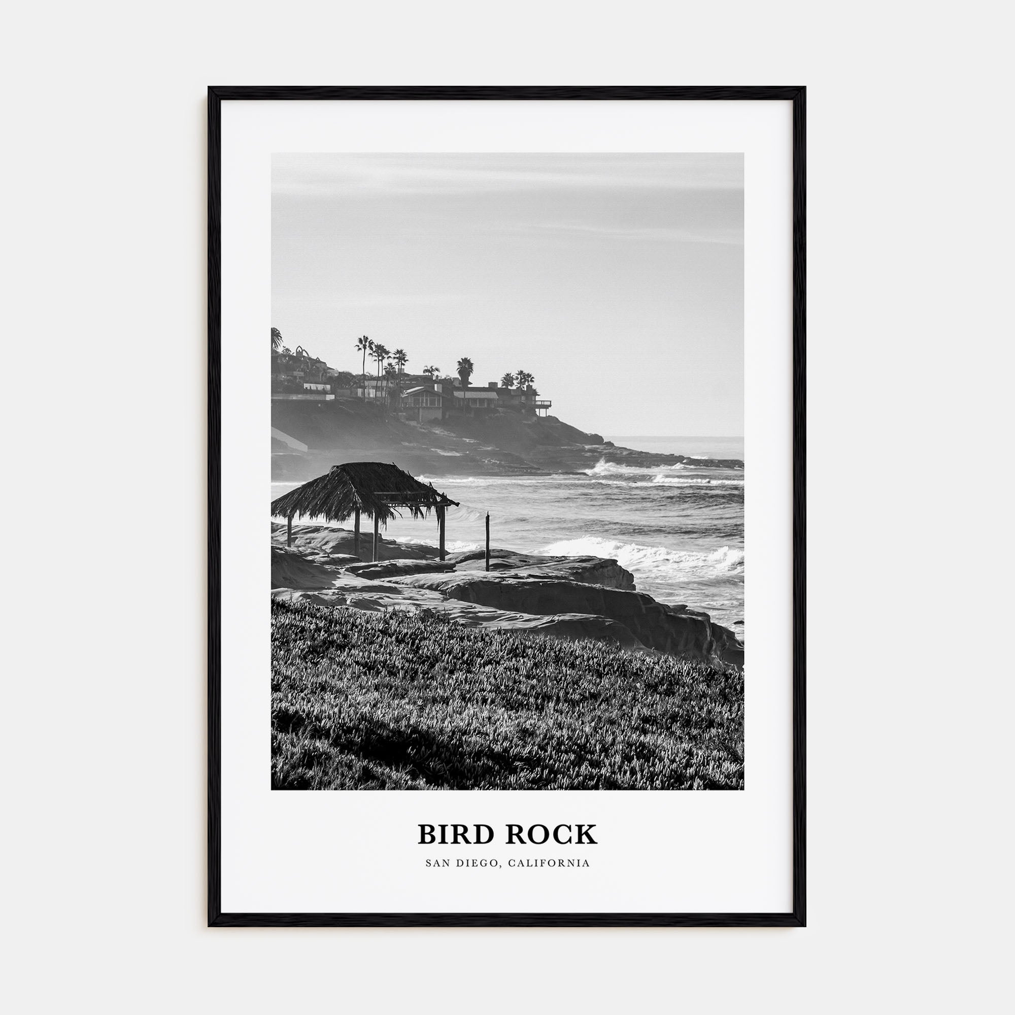 Bird Rock Portrait B&W No 2 Poster