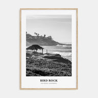 Bird Rock Portrait B&W No 2 Poster