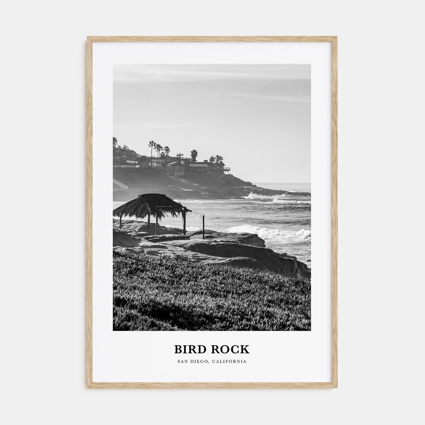 Bird Rock Portrait B&W No 2 Poster