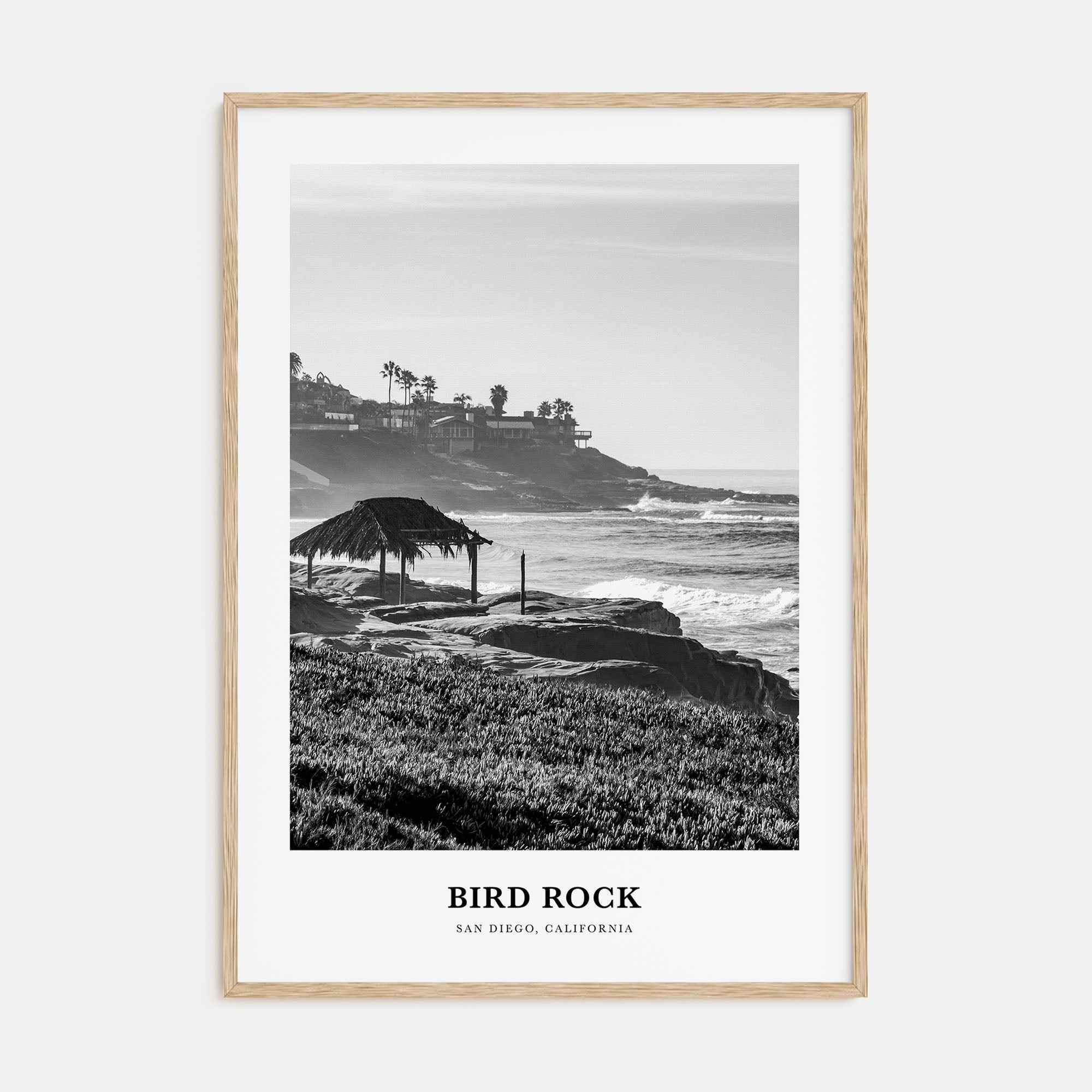 Bird Rock Portrait B&W No 2 Poster