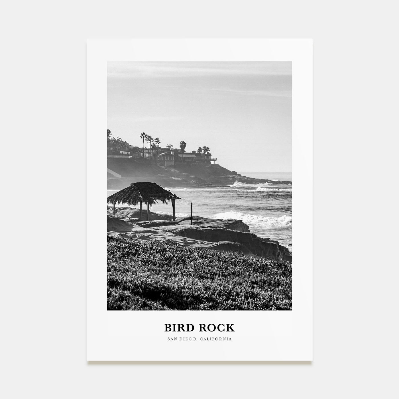 Bird Rock Portrait B&W No 2 Poster
