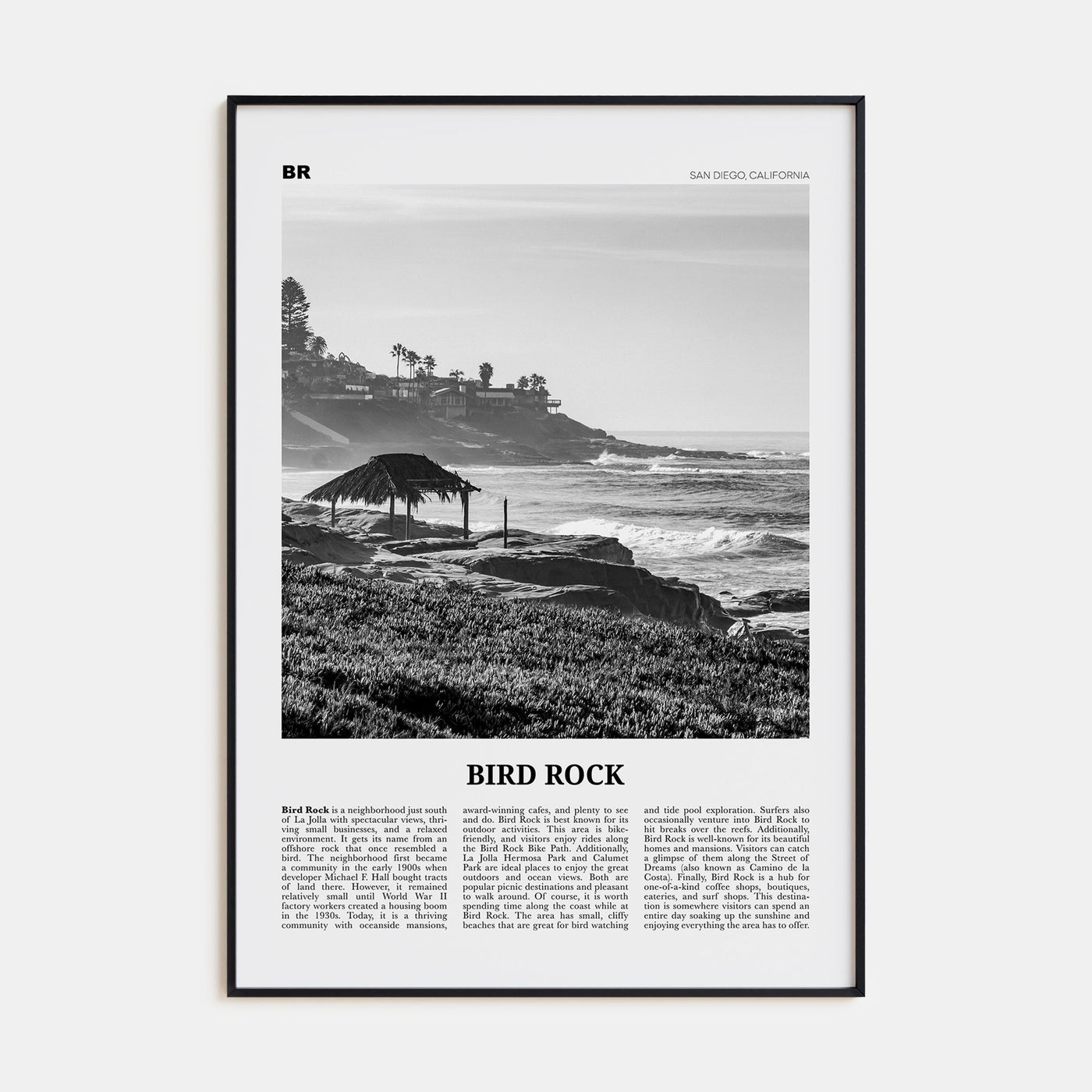 Bird Rock Travel B&W No 1 Poster