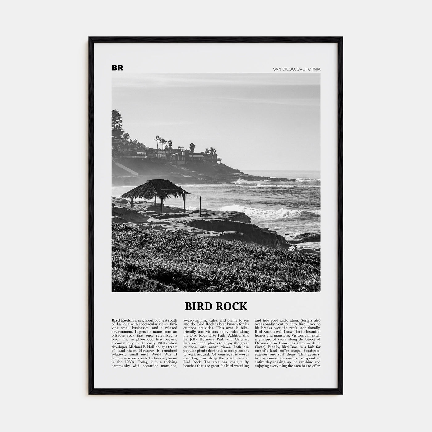 Bird Rock Travel B&W No 1 Poster