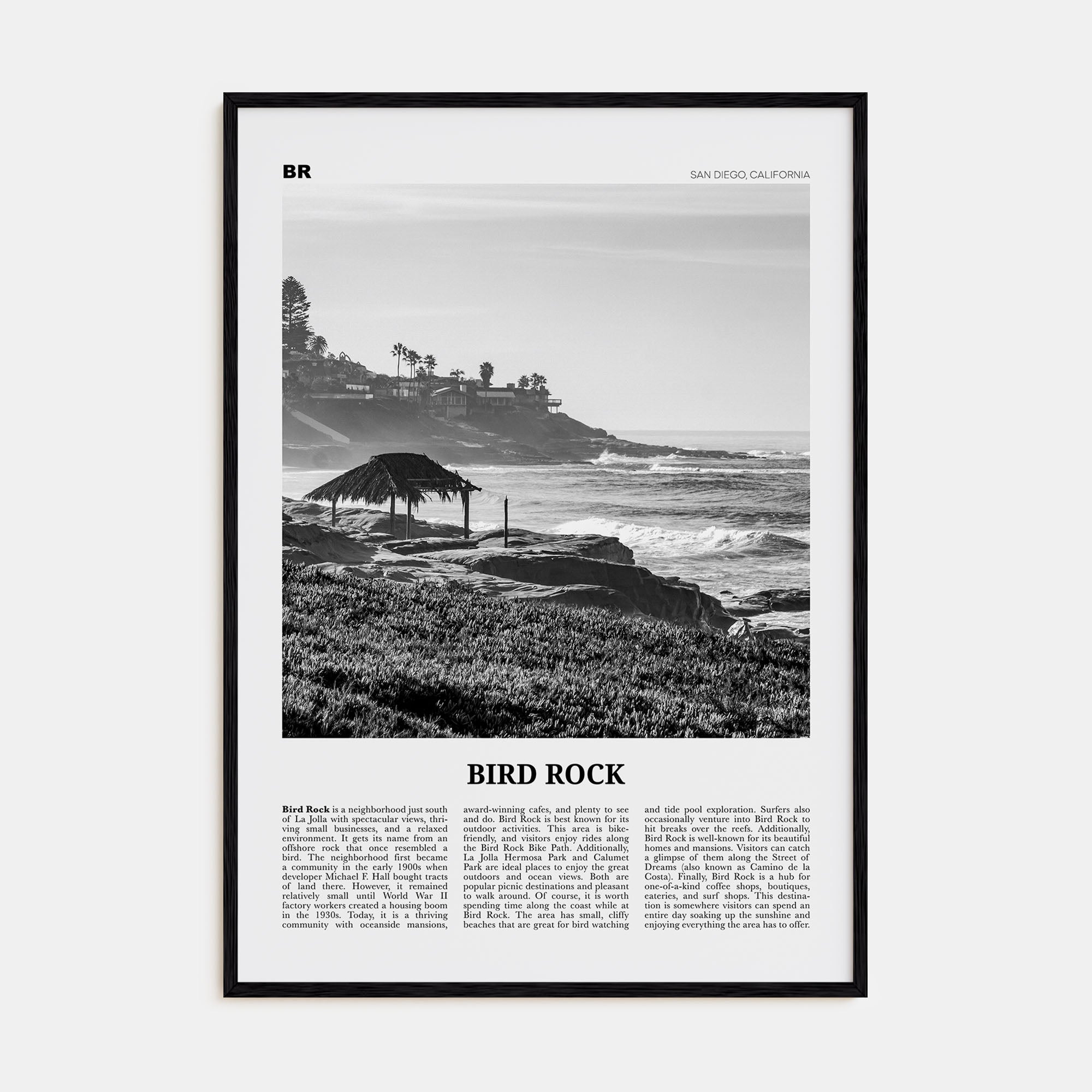 Bird Rock Travel B&W No 1 Poster