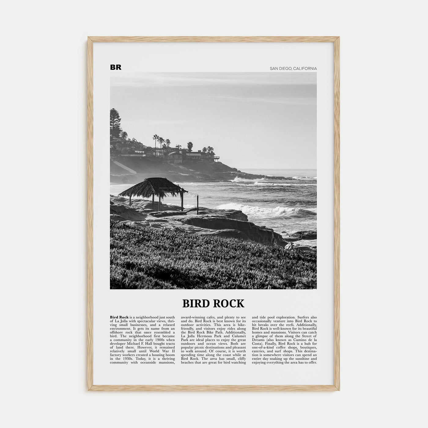 Bird Rock Travel B&W No 1 Poster