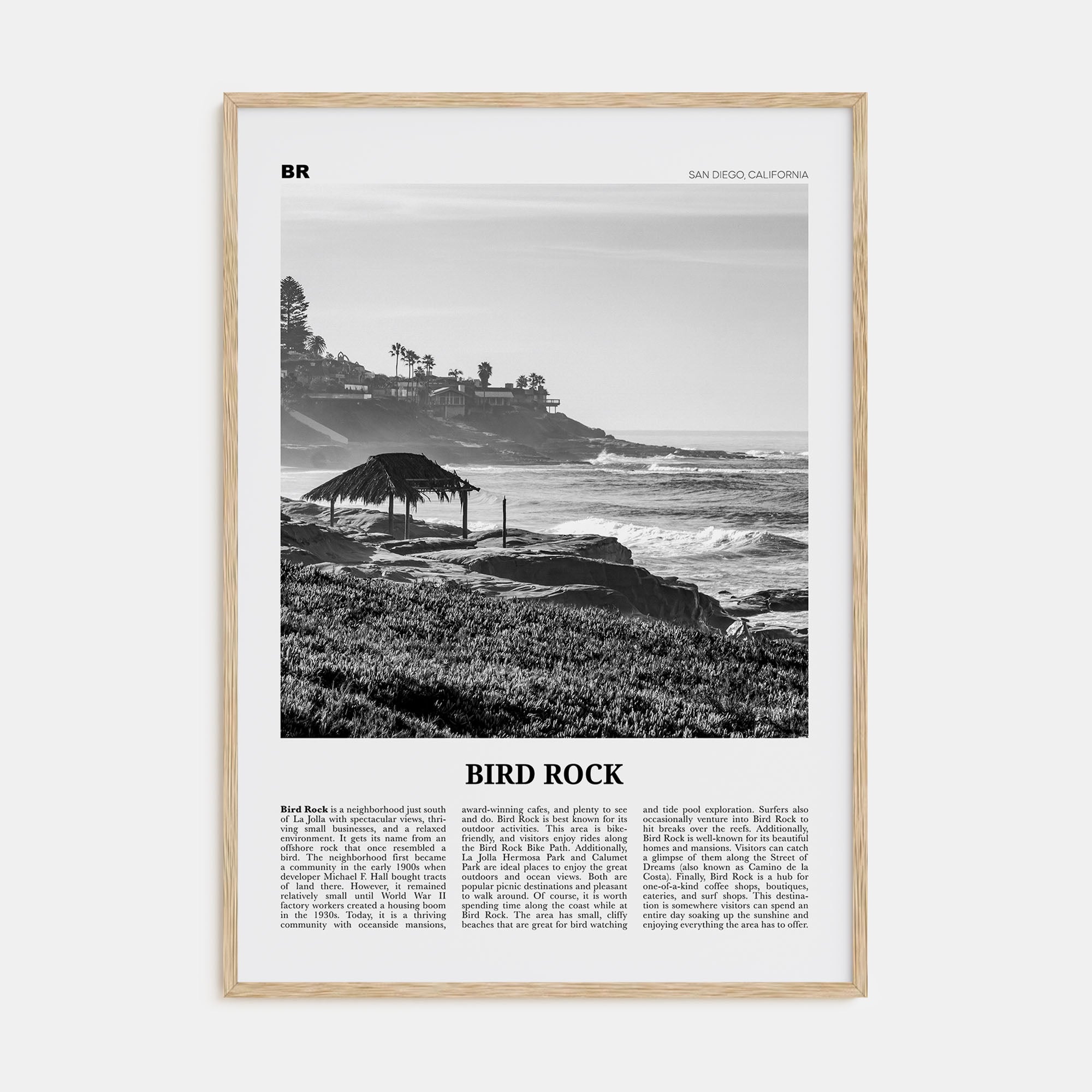 Bird Rock Travel B&W No 1 Poster