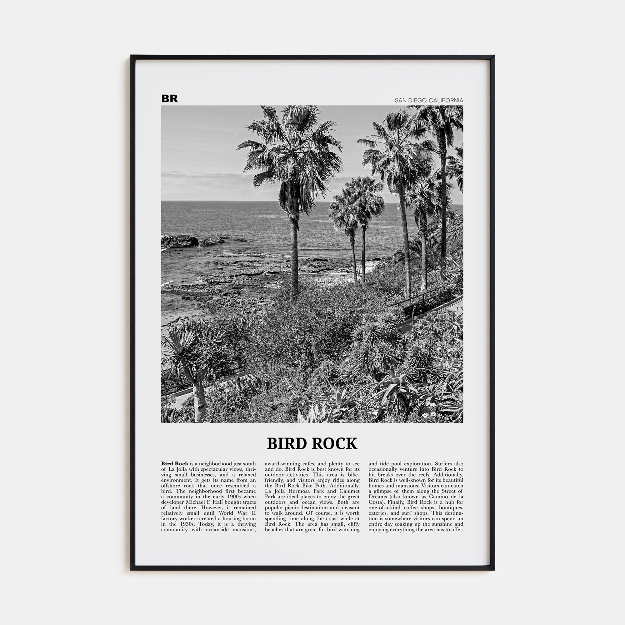Bird Rock Travel B&W No 2 Poster