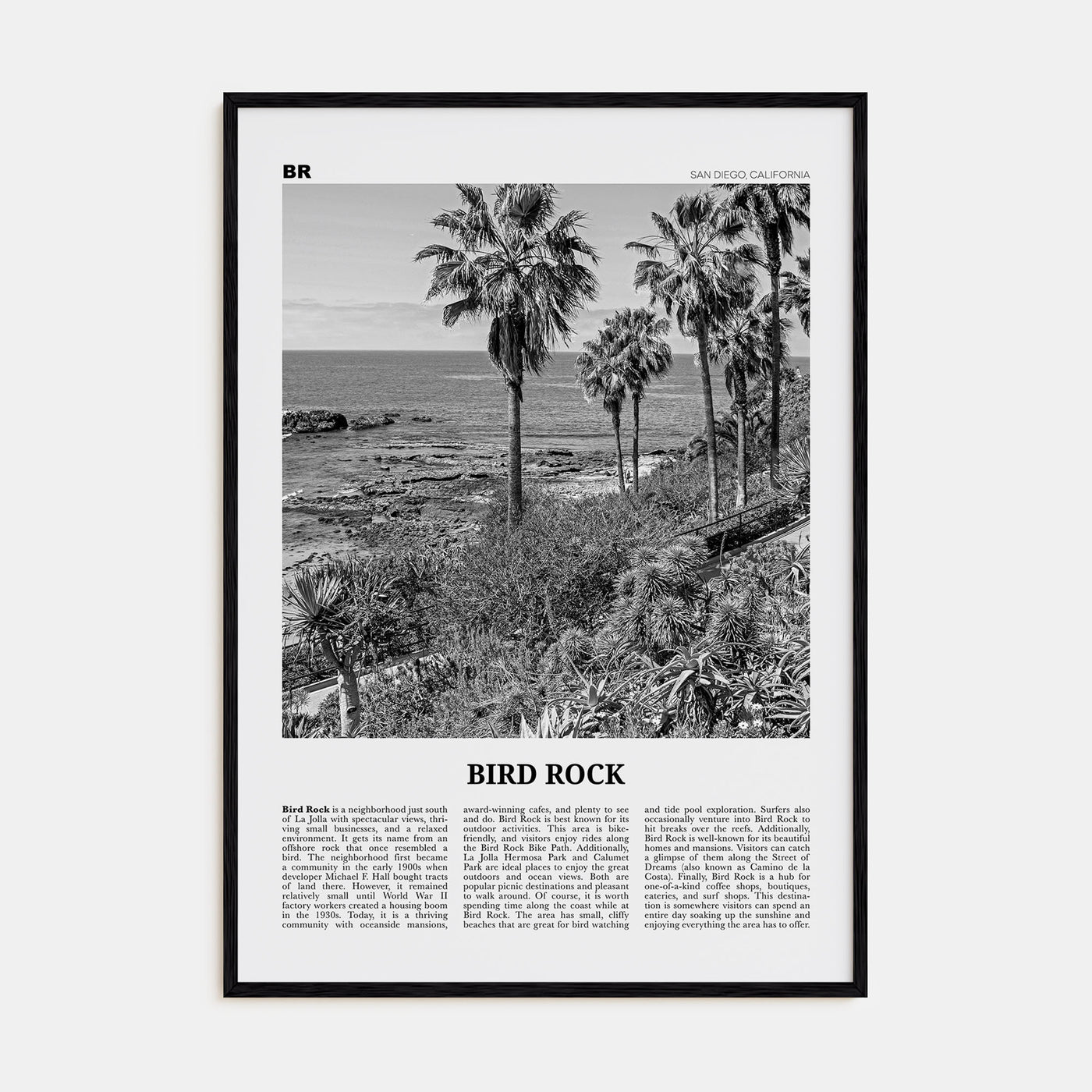 Bird Rock Travel B&W No 2 Poster