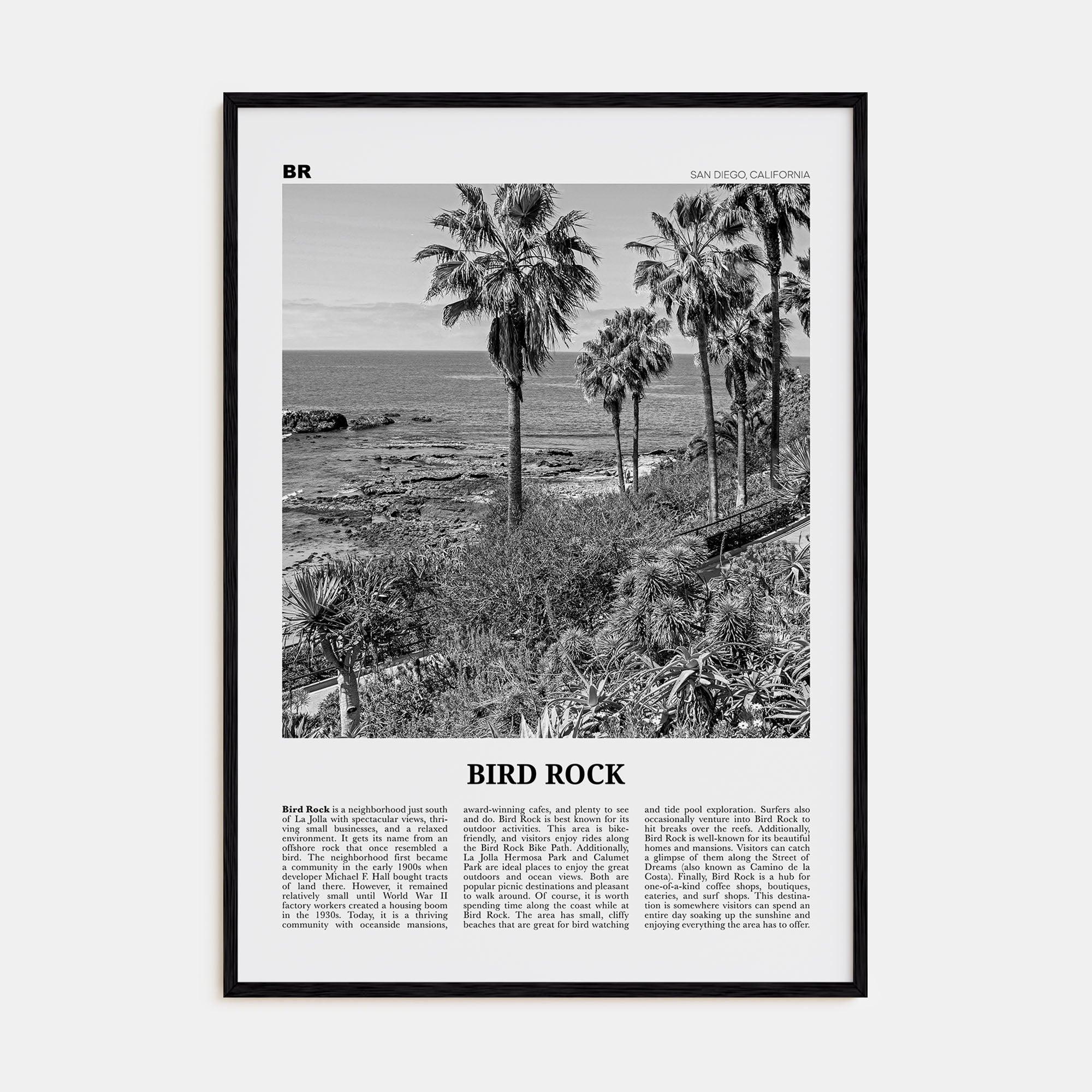 Bird Rock Travel B&W No 2 Poster