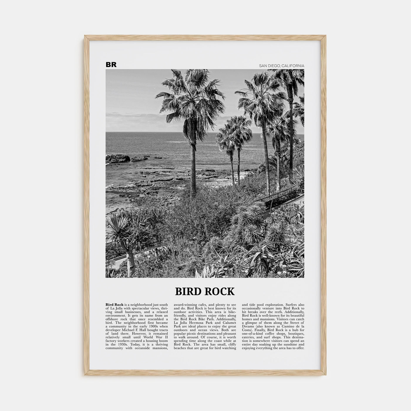 Bird Rock Travel B&W No 2 Poster