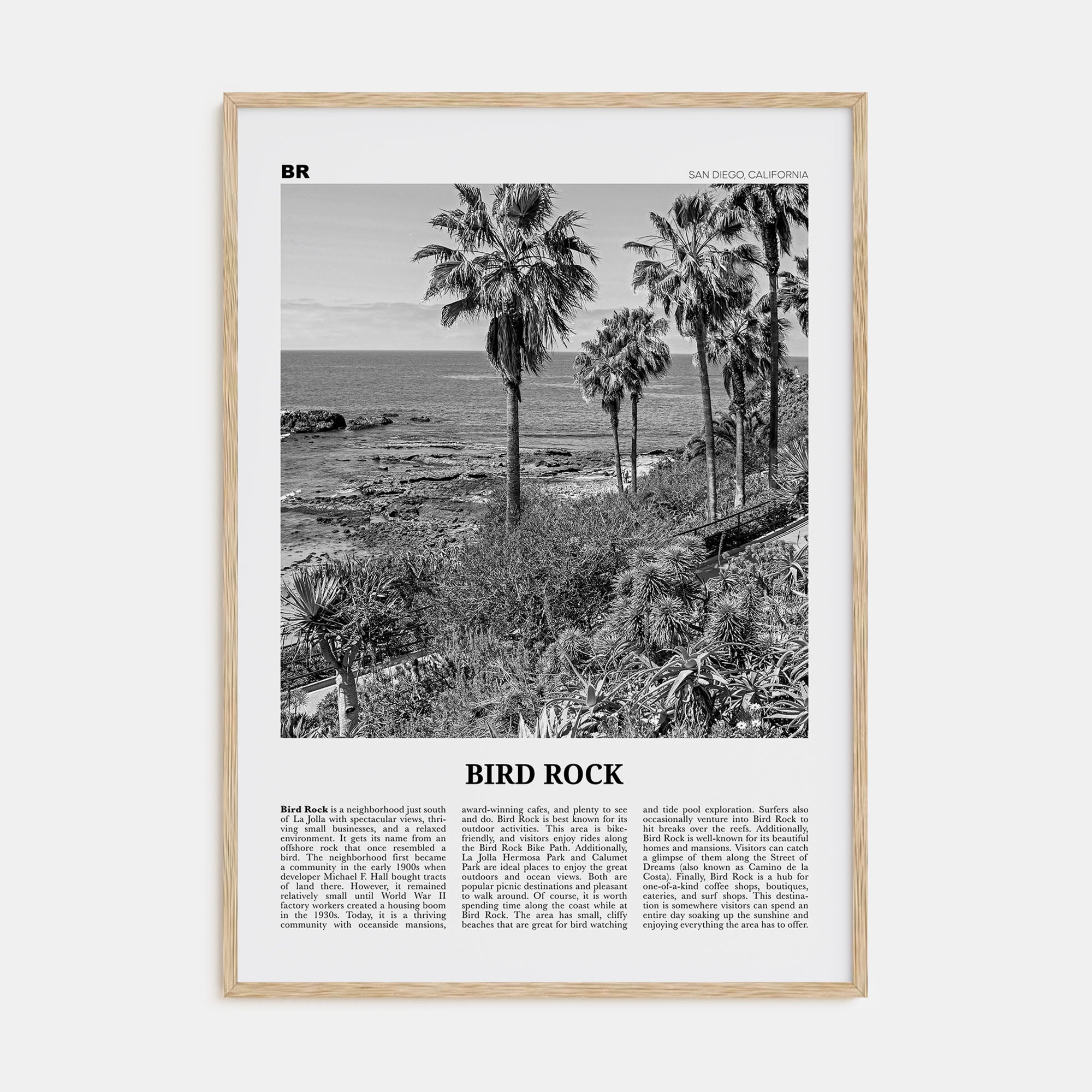 Bird Rock Travel B&W No 2 Poster