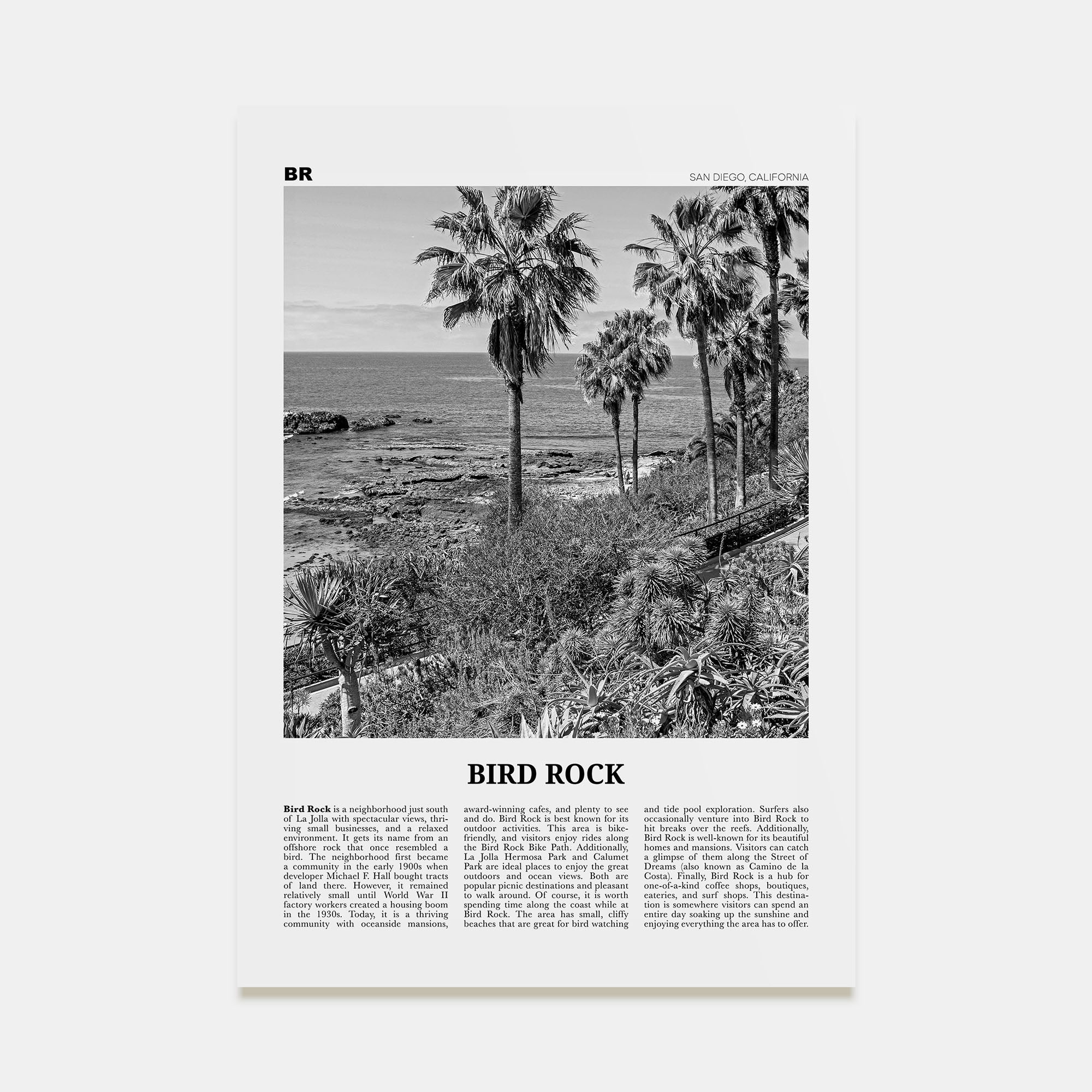 Bird Rock Travel B&W No 2 Poster