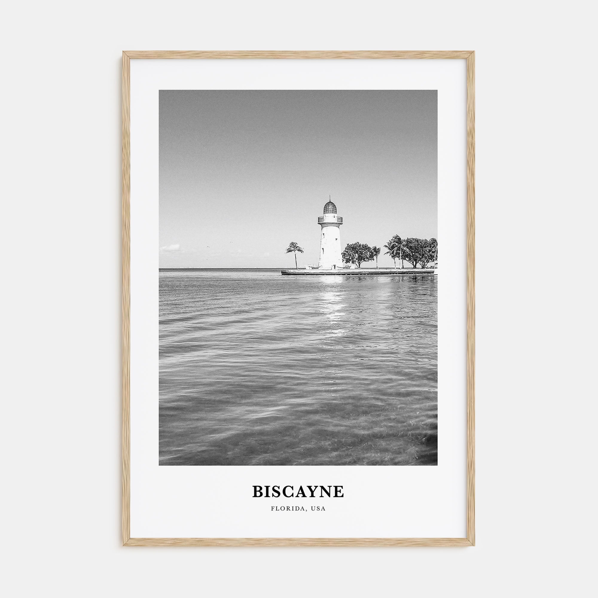 Biscayne National Park Portrait B&W Poster