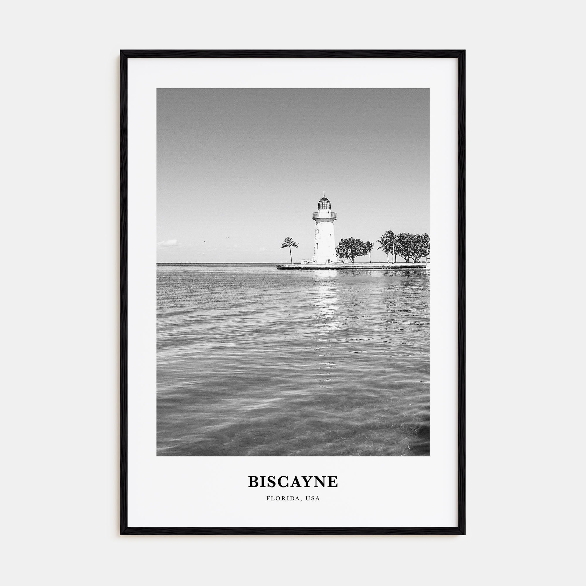 Biscayne National Park Portrait B&W Poster