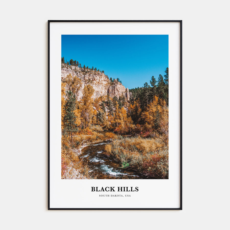 Black Hills Portrait Color Poster