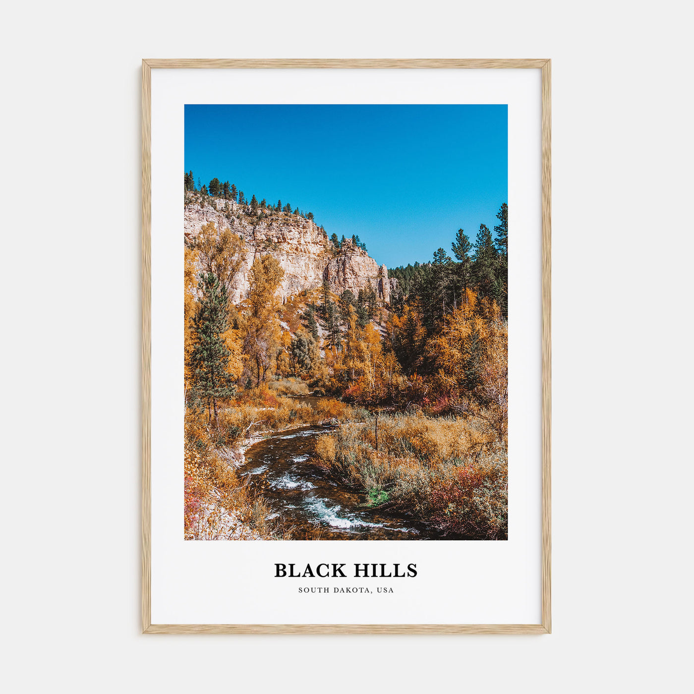 Black Hills Portrait Color Poster