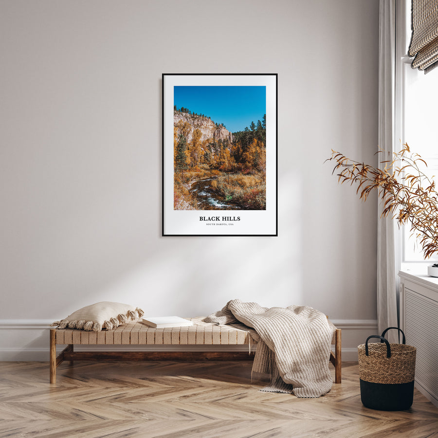 Black Hills Portrait Color Poster