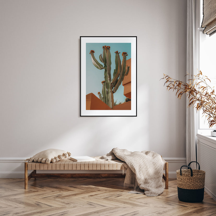 Blooming Cactus Sandy Walls Photo Color Poster