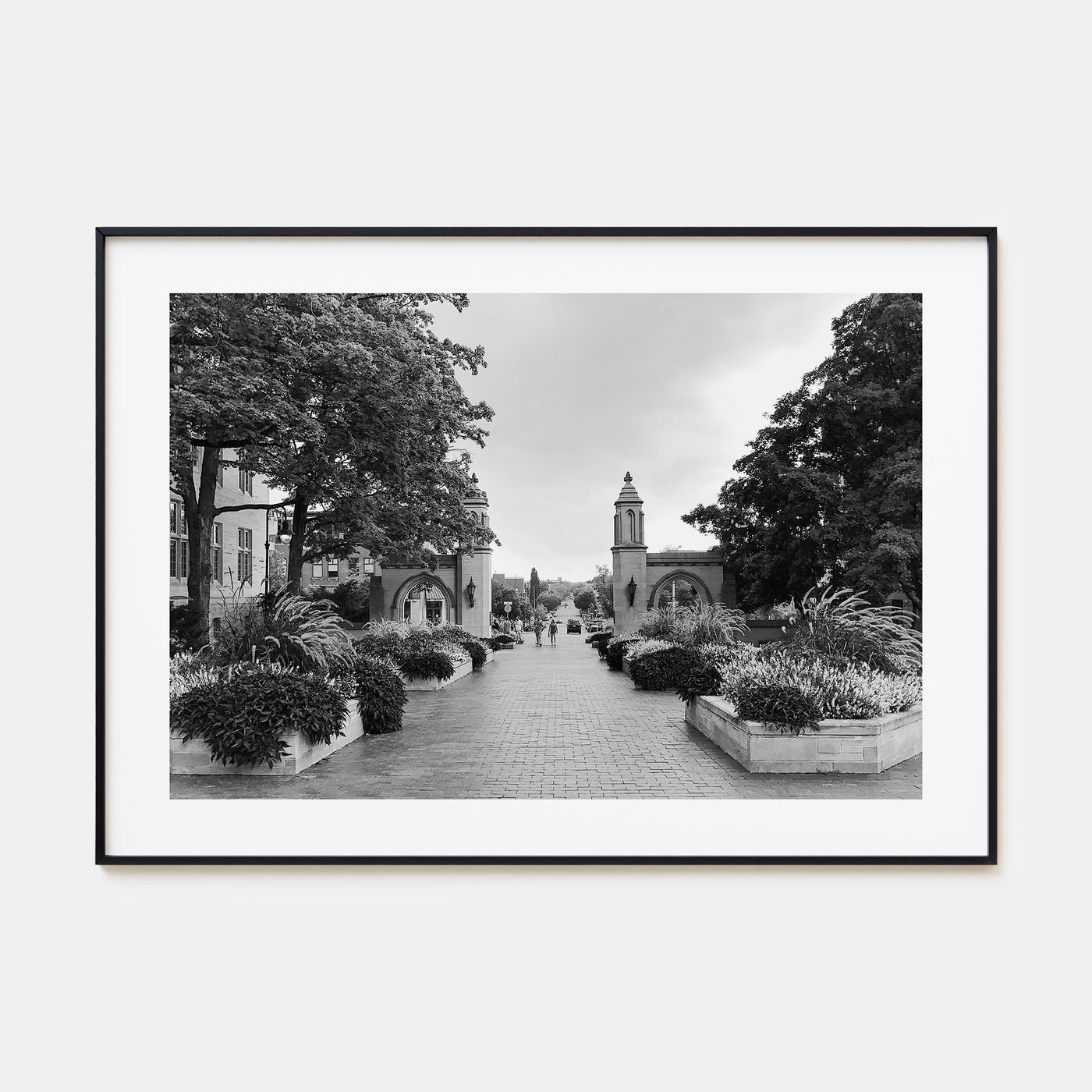 Bloomington Landscape B&W Poster