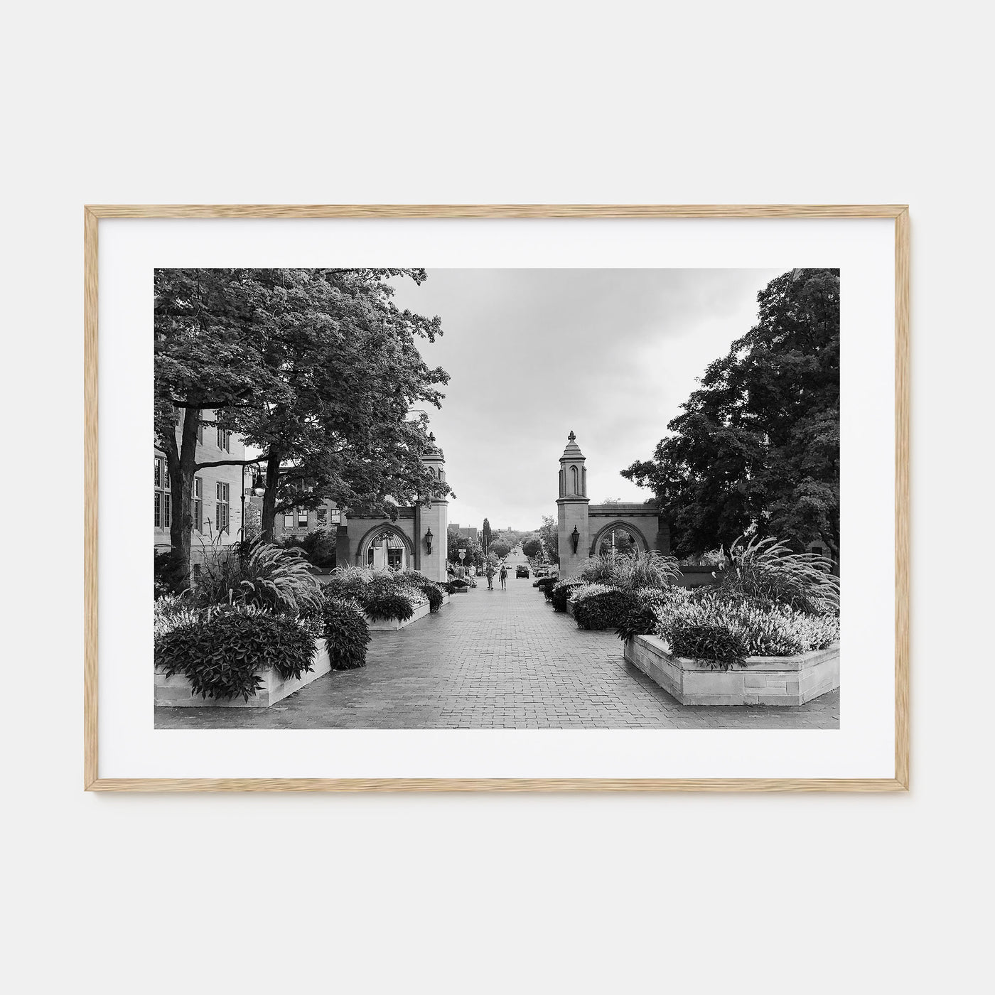 Bloomington Landscape B&W Poster