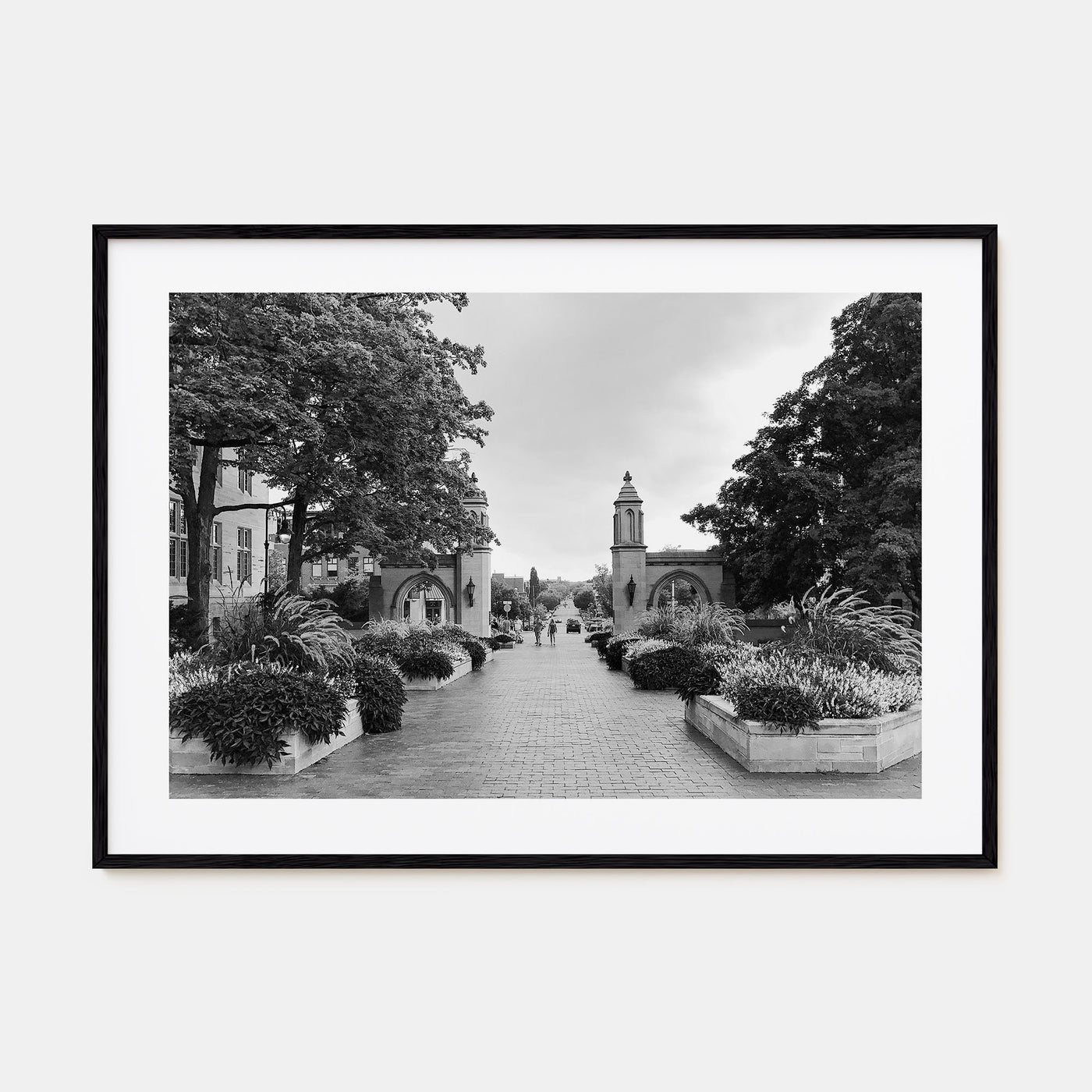 Bloomington Landscape B&W Poster