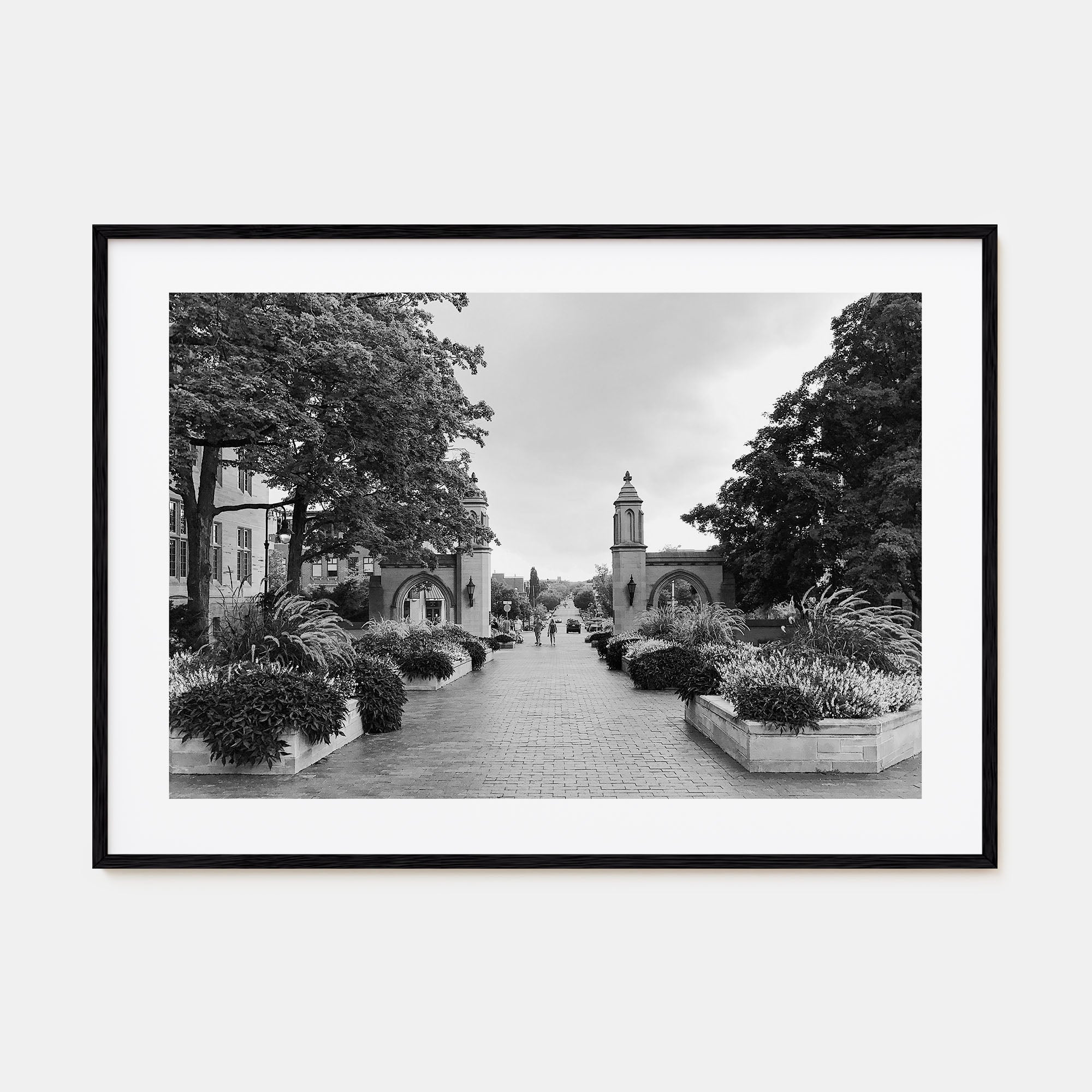 Bloomington Landscape B&W Poster