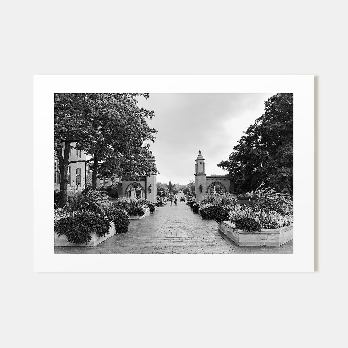 Bloomington Landscape B&W Poster