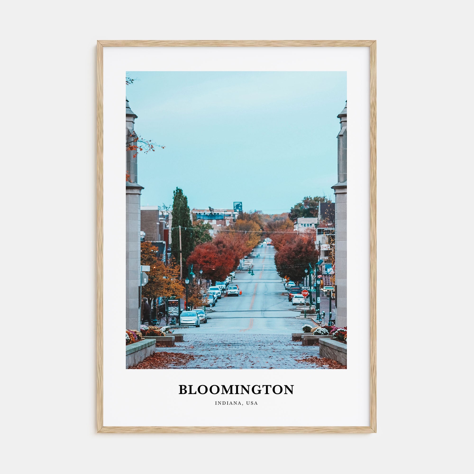 Bloomington Portrait Color Poster