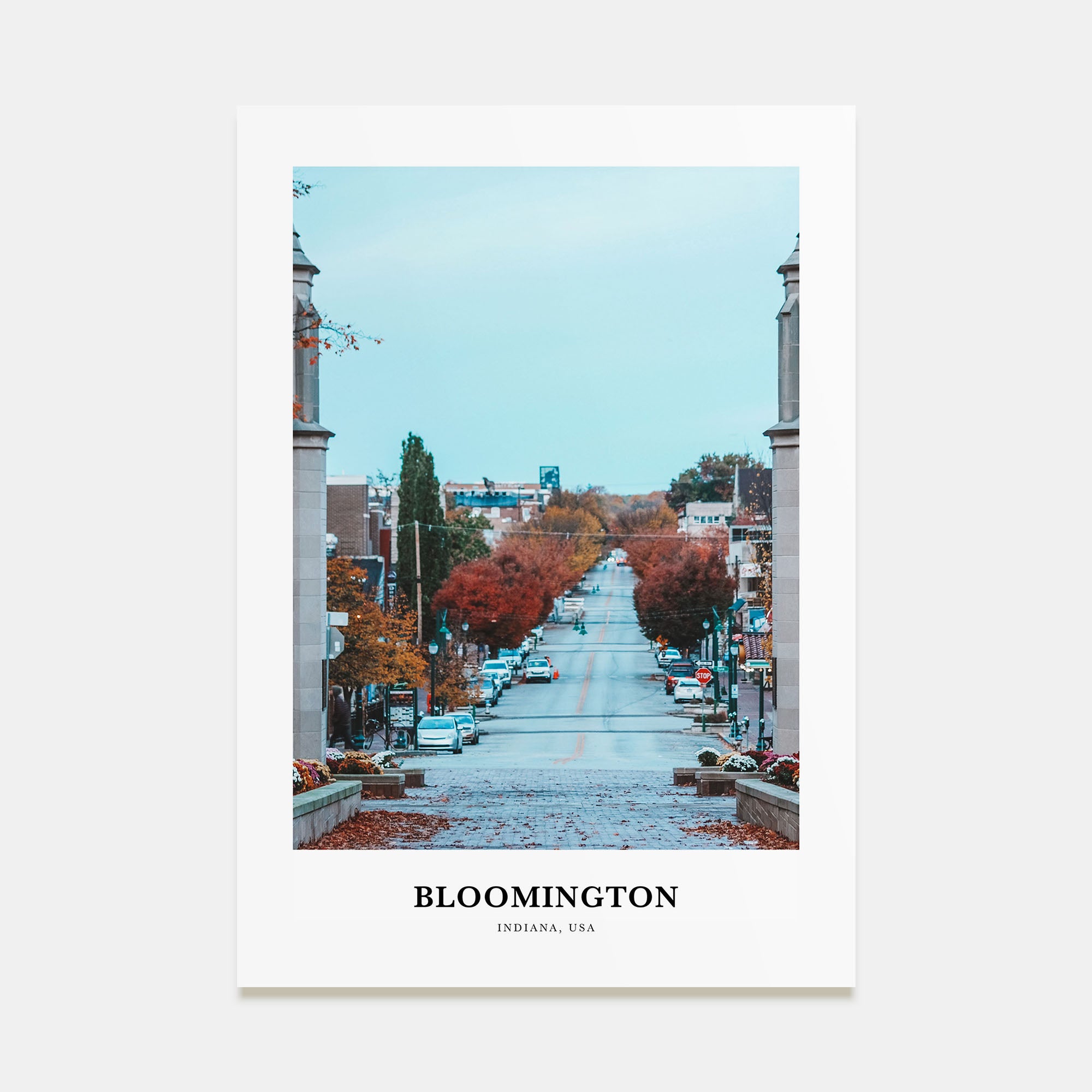 Bloomington Portrait Color Poster