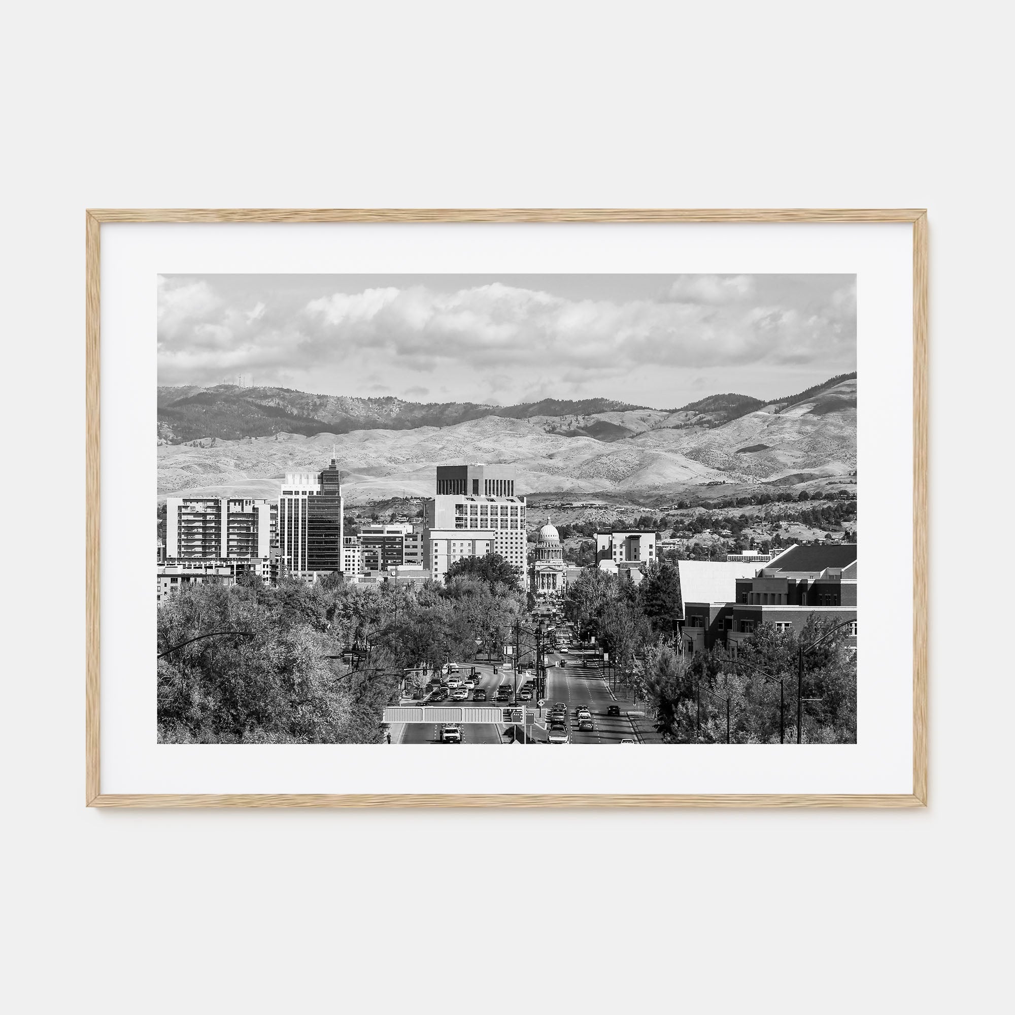 Boise Landscape B&W Poster