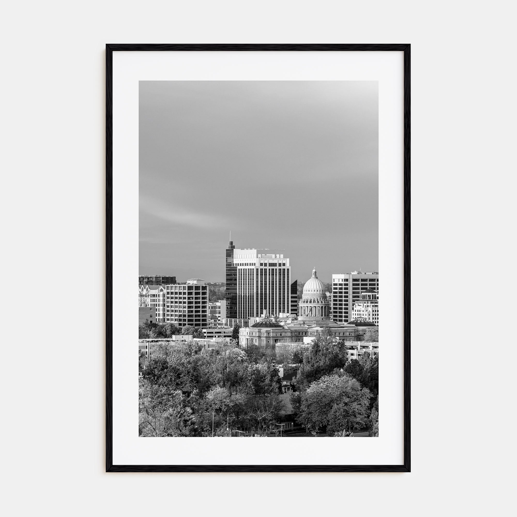 Boise Photo B&W No 1 Poster