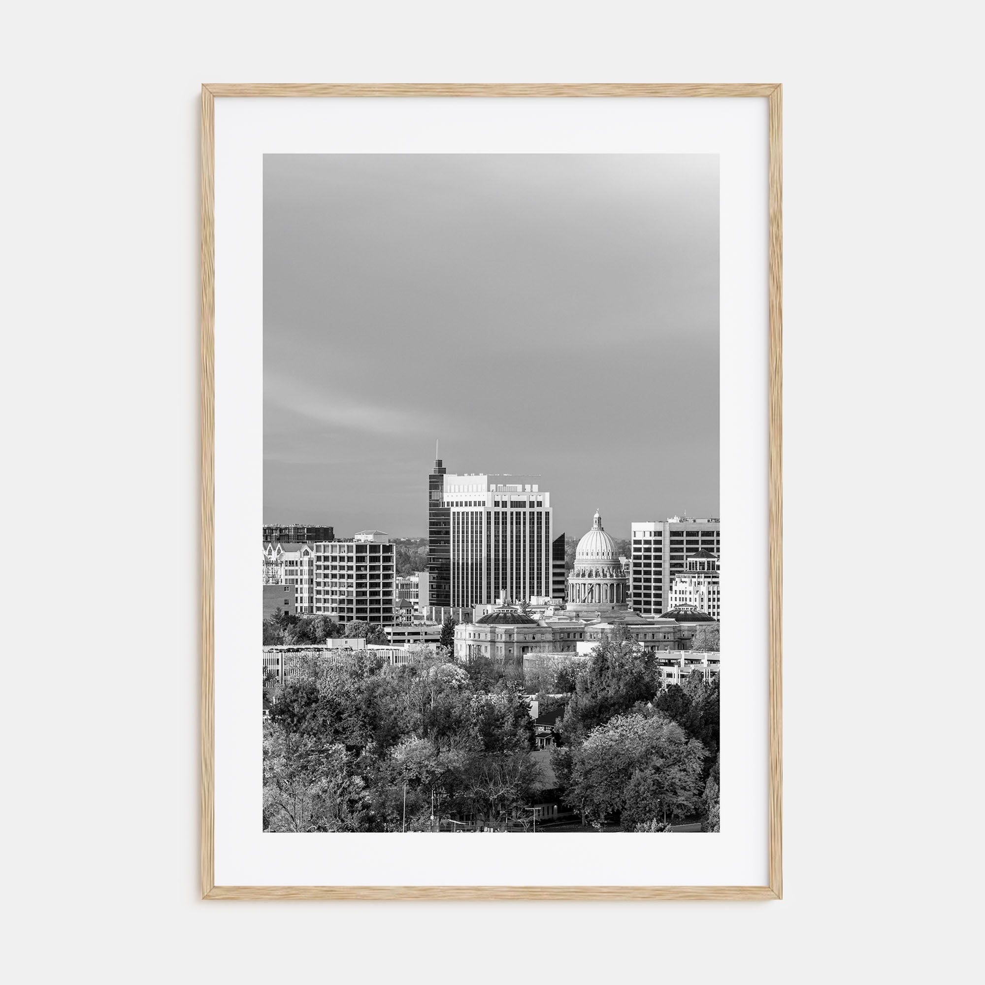 Boise Photo B&W No 1 Poster