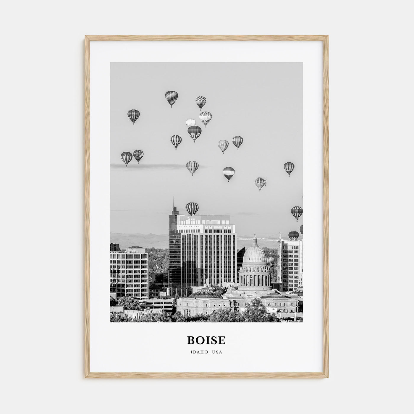 Boise Portrait B&W No 1 Poster