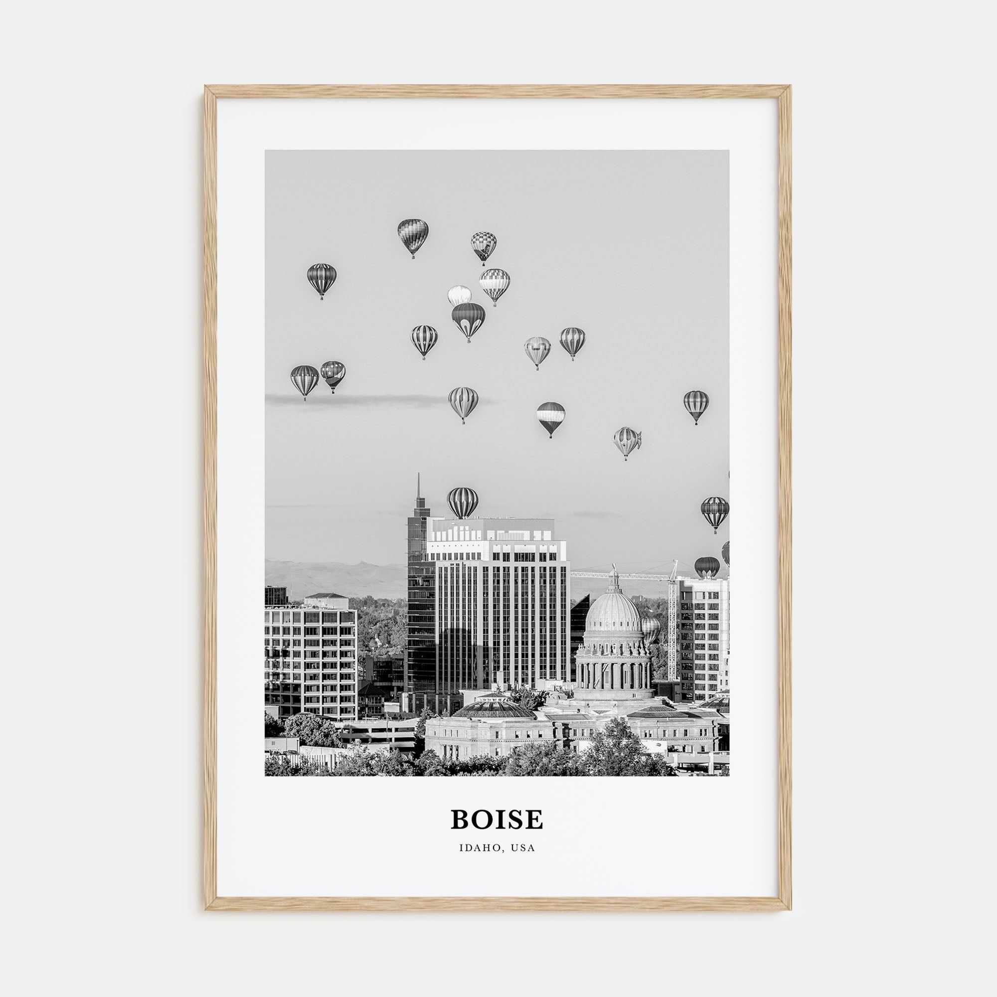 Boise Portrait B&W No 1 Poster