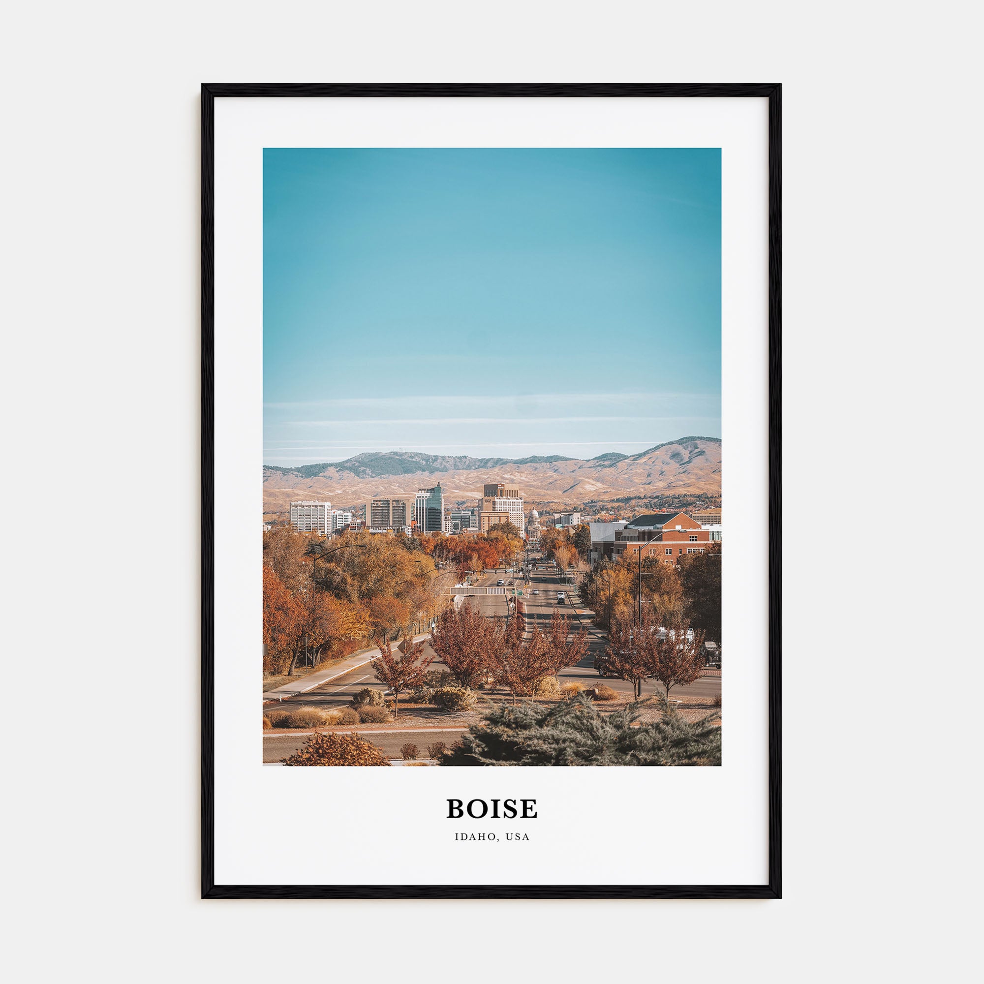 Boise Portrait Color No 1 Poster