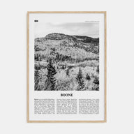 Boone Travel B&W No 2 Poster