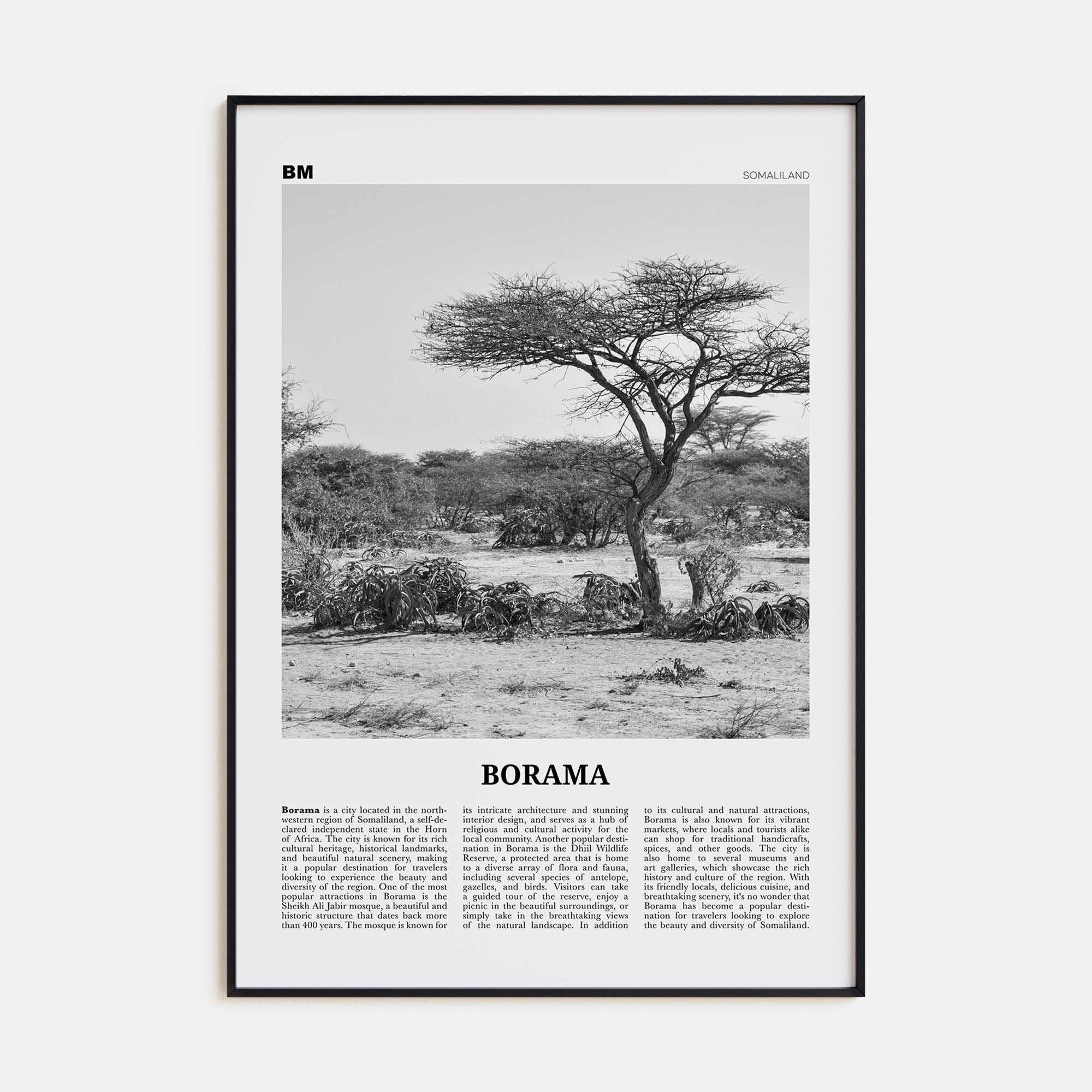 Borama Travel B&W Poster
