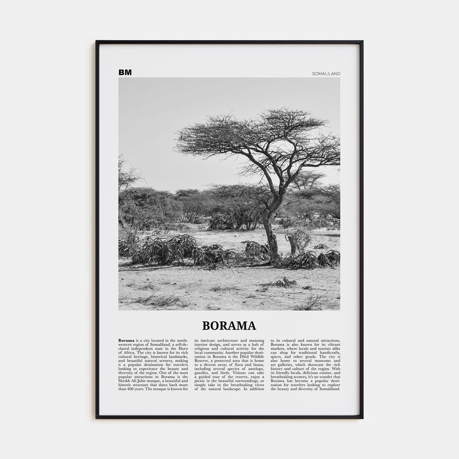 Borama Travel B&W Poster