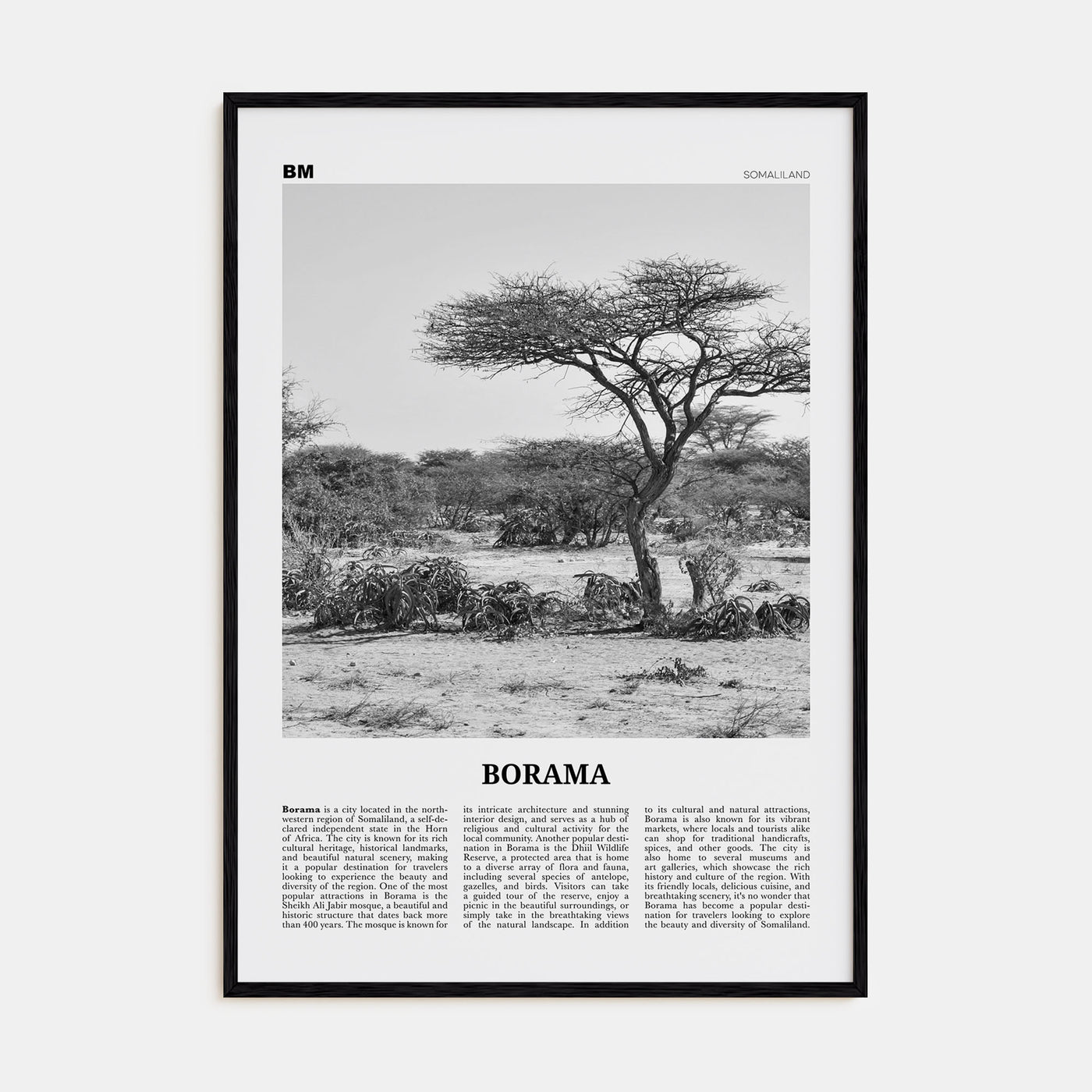 Borama Travel B&W Poster