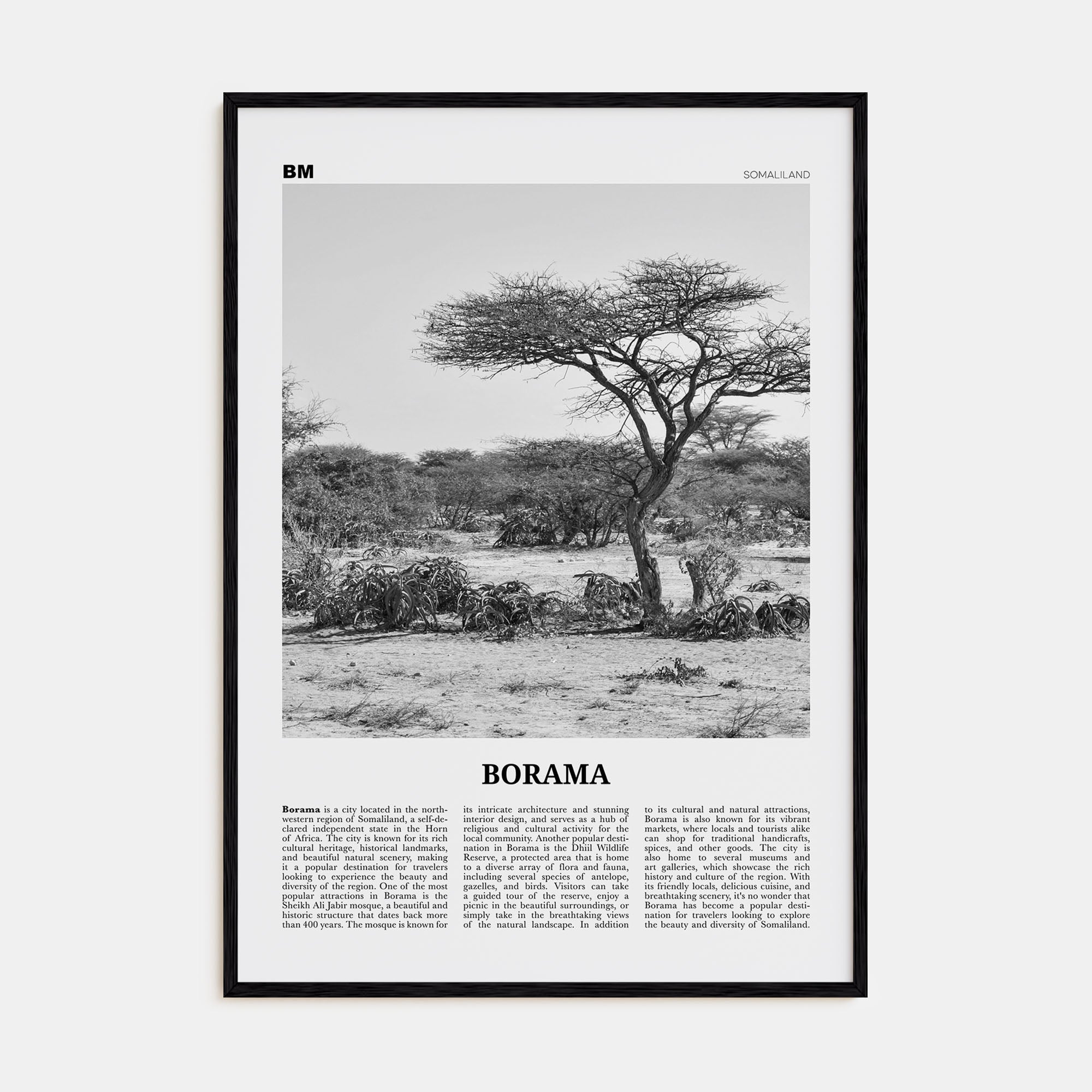 Borama Travel B&W Poster