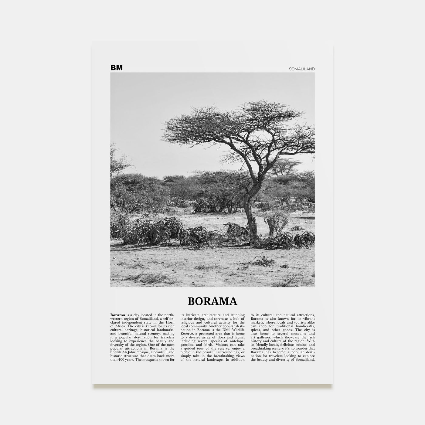Borama Travel B&W Poster