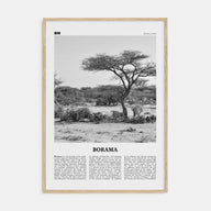 Borama Travel B&W Poster