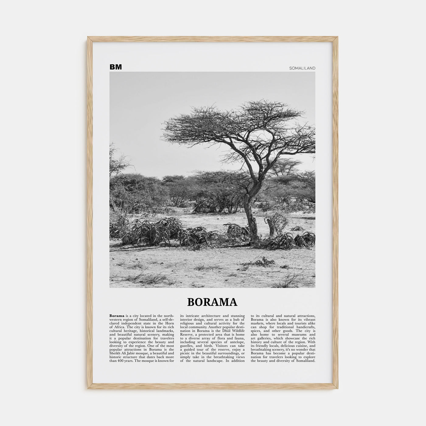 Borama Travel B&W Poster