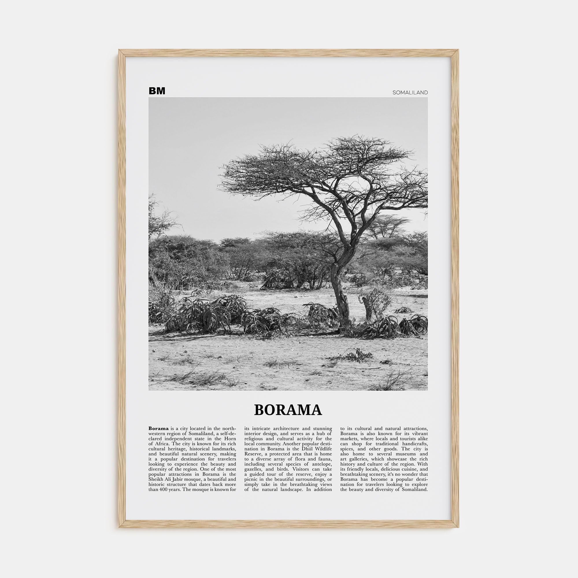 Borama Travel B&W Poster