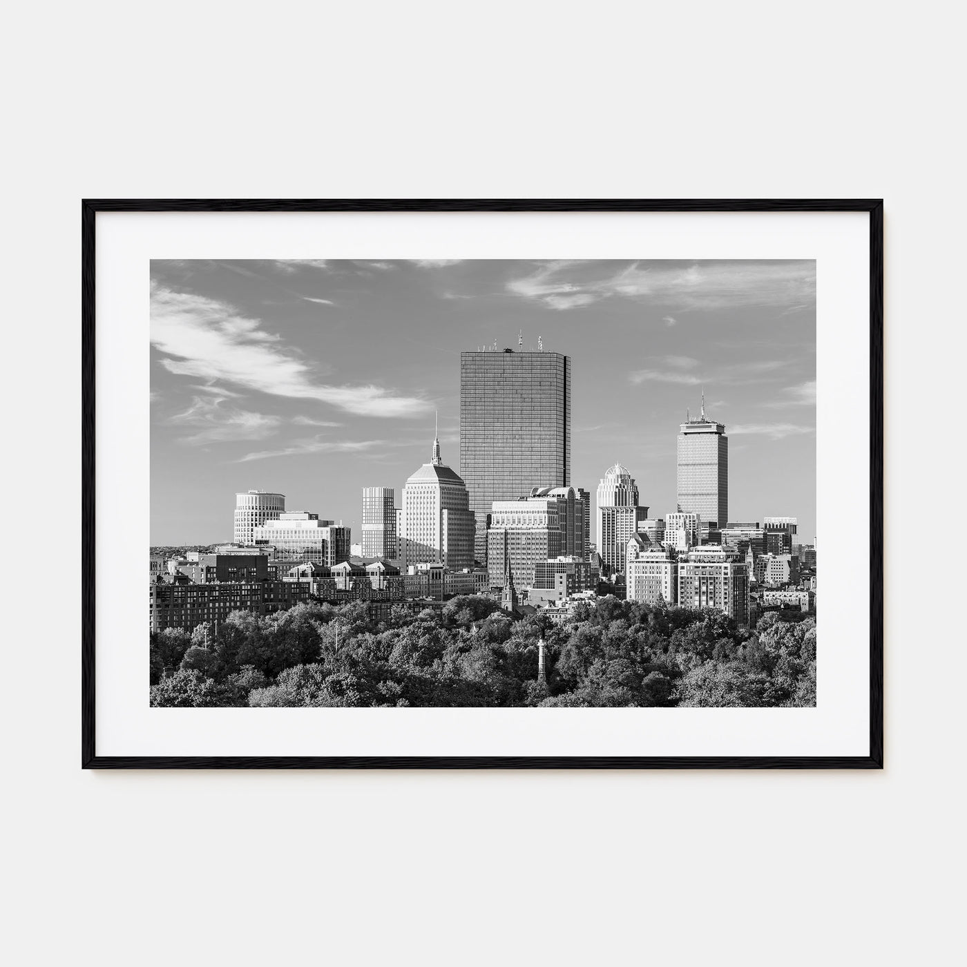 Boston Landscape B&W No 1 Poster