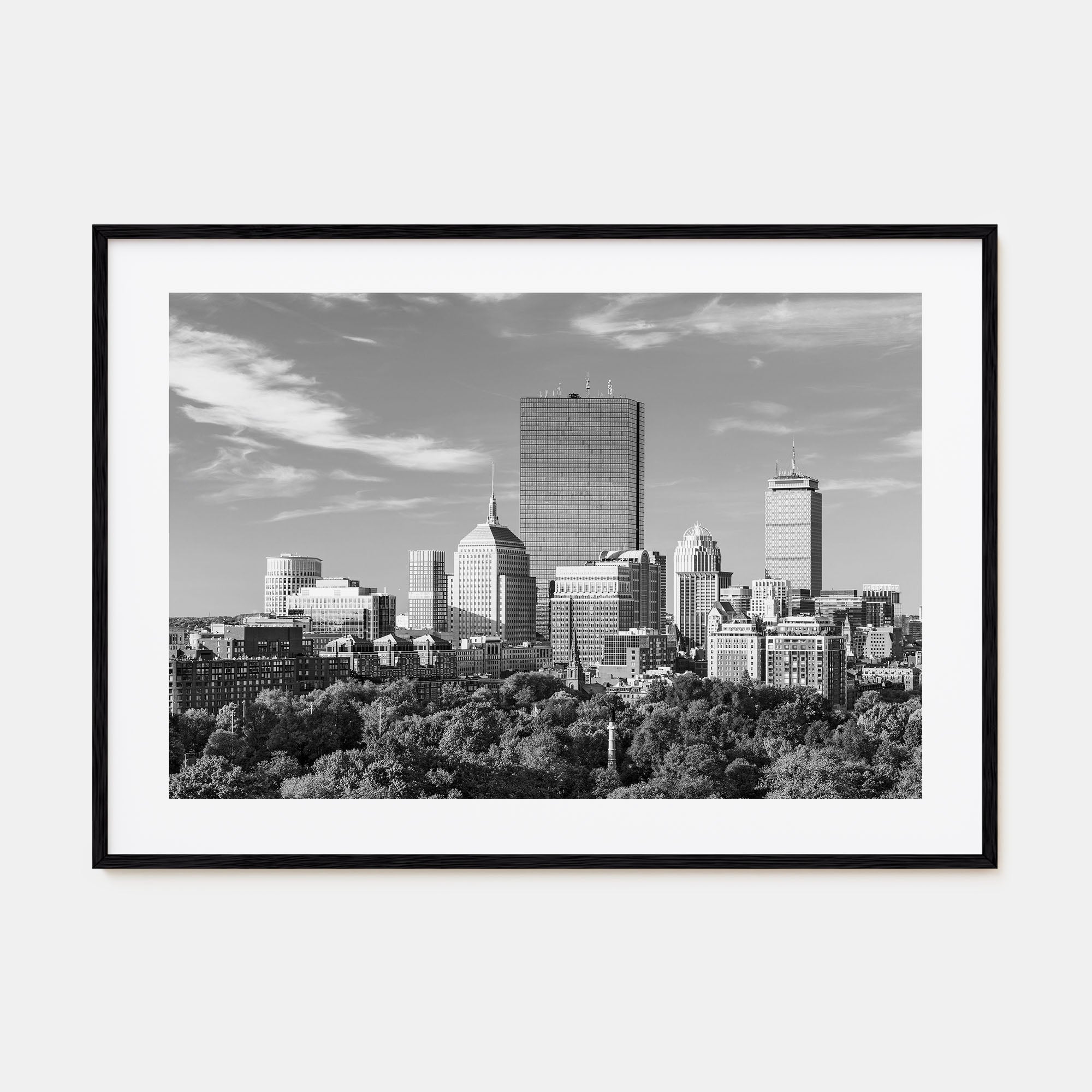 Boston Landscape B&W No 1 Poster